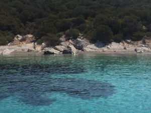 95cace38-db2c-407f-a912-7070719dba56