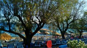 8595a632-290c-4151-99b3-bacbbf4428c5