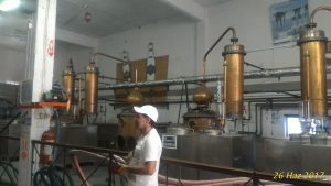 P_20170626_124732_1_p-300x169