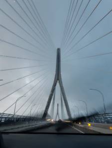 2ee9ae9d-aa85-4a2c-93d4-ca08528443bb