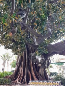 cd892caf-9db2-4e0f-9ea7-cbda7dd14720