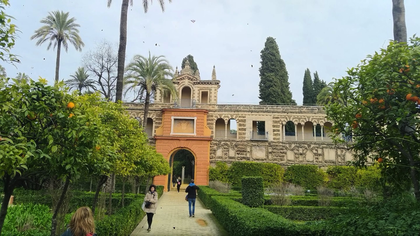 Görüntü 9.04.2020 12.29