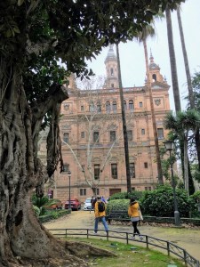 Görüntü 9.04.2020 12.36