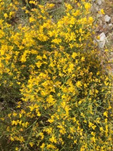 fd5d09b7-c445-44e8-97fc-b9ef847f2106